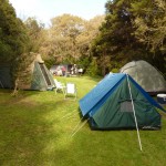 Tents at The Glade